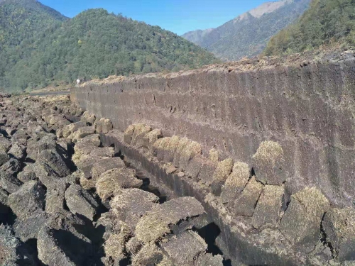 纯天然草炭土开采