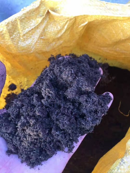优质纯天然草炭土