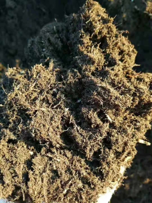 优质草炭土育苗基质